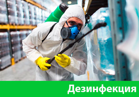 Дезинфекция в городе Камышин