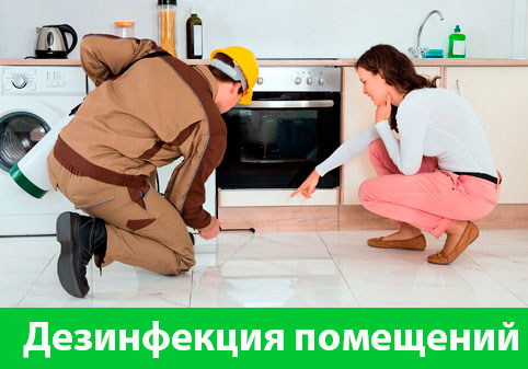 Дезинфекция офисов от коронавируса в городе Камышин