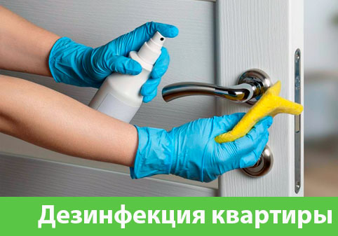 Дезинфекция квартиры в городе Камышин