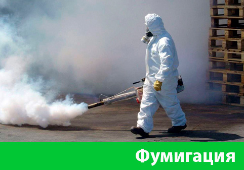 Фумигация в городе Камышин