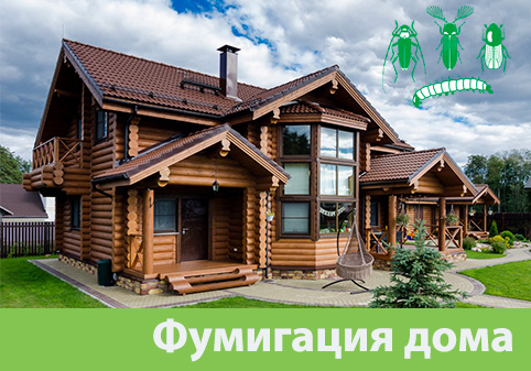 Преимущества обработки газом в городе Камышин