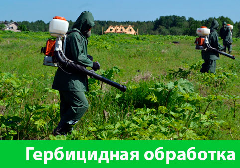 Гербицидная обработка в городе Камышин
