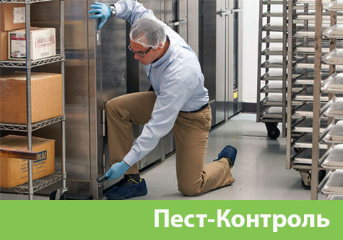 Пэст-Контроль в городе Камышин