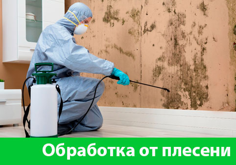 Обработка от плесени в городе Камышин