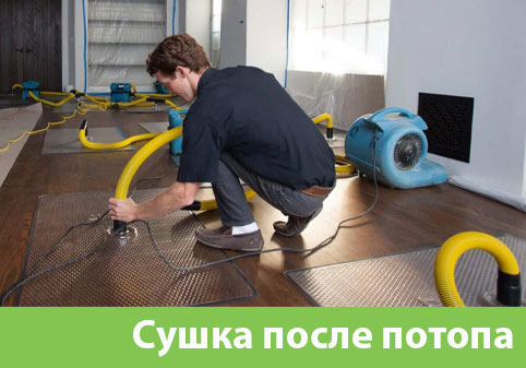 Сушка после потопа в городе Камышин