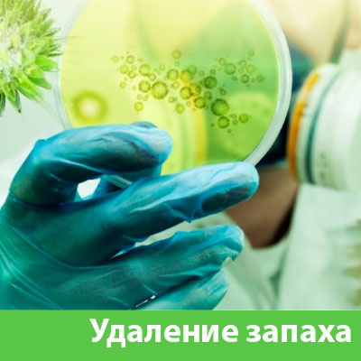 Удаление запахов в Камышине