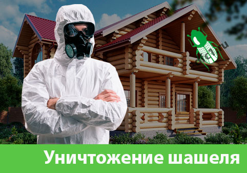 Уничтожение шашеля и личинок в Камышине