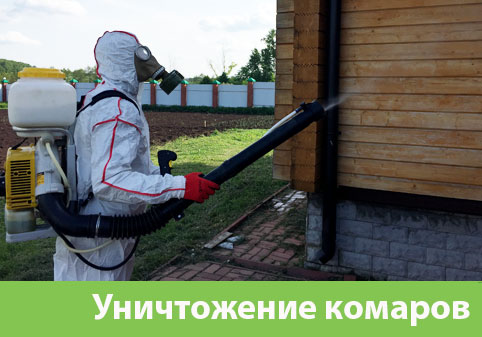 Уничтожение комаров в городе Камышин