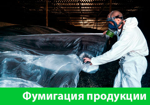 Фумигация продукции в городе Камышин